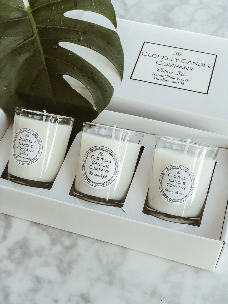 Vegan Candle Trio Gift Set - Citrus, The Clovelly Soap Company, The Clean Market  