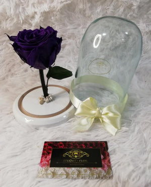 Colección Urnas de Cristal con Rosas Preservadas