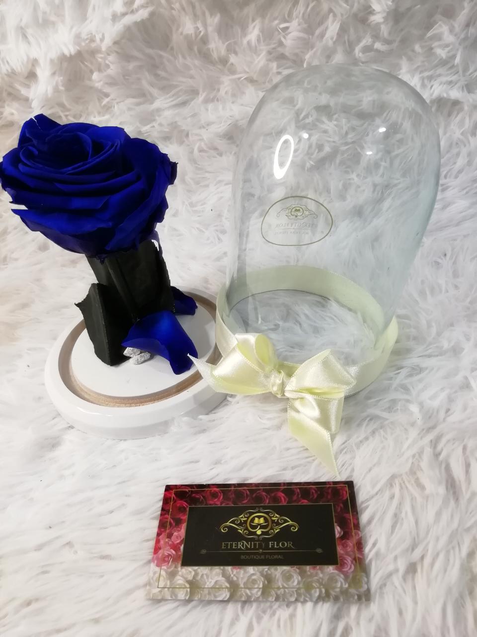 urna de cristal m con una hermosa rosa preservada royal blue