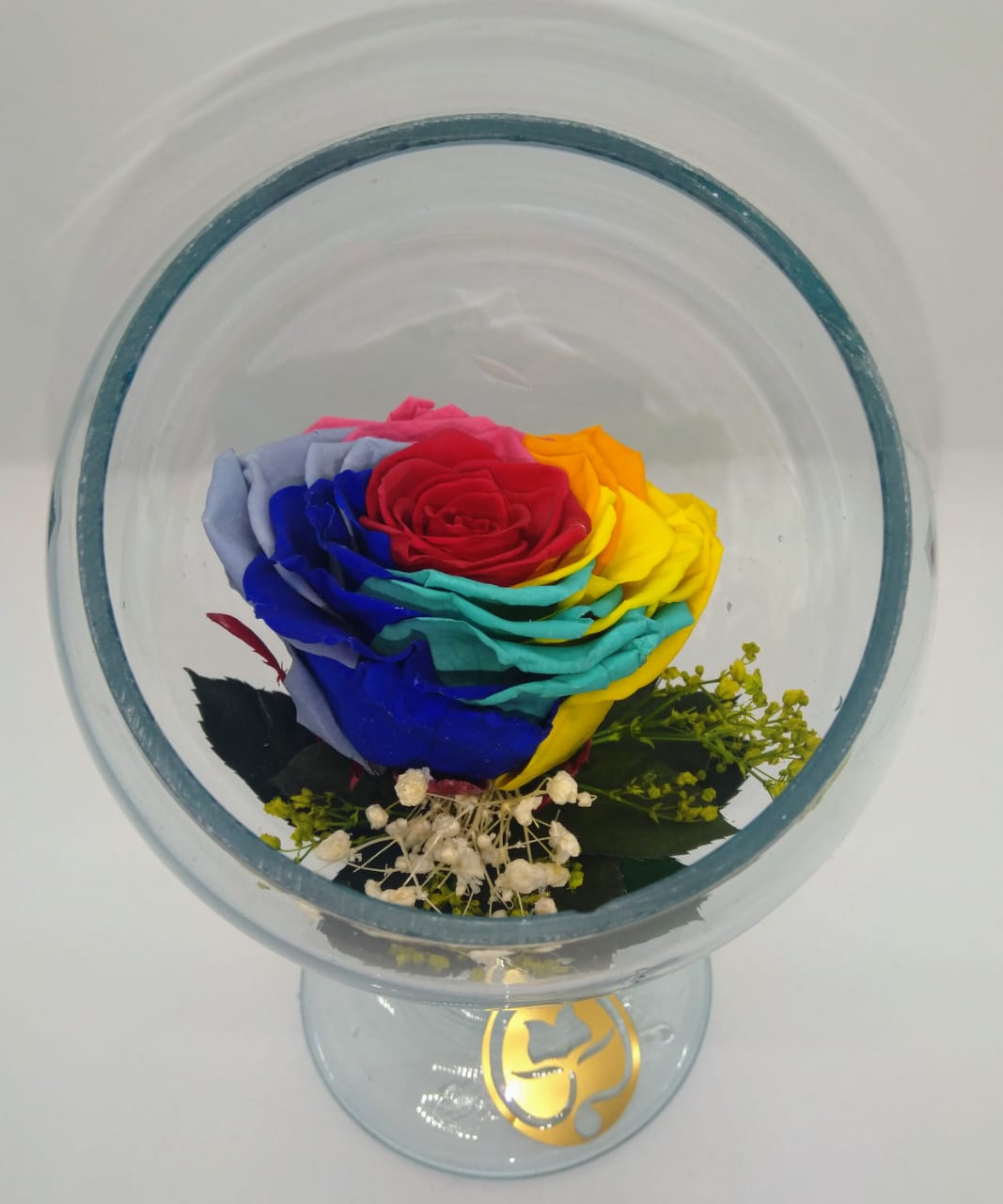 pecera de cristal con una hermosa rosa preservada rainbow multicolor