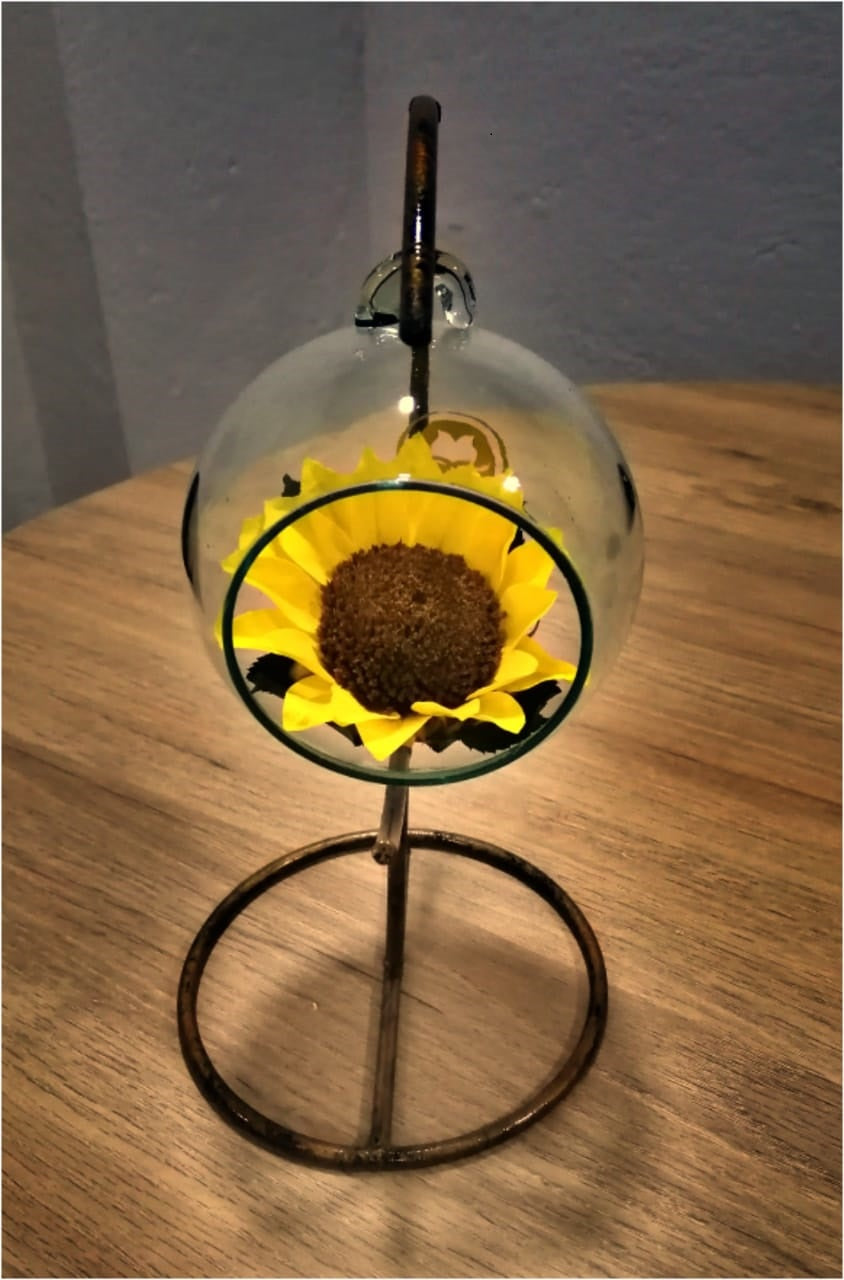 girasol preservado en una gota de cristal con base metálica