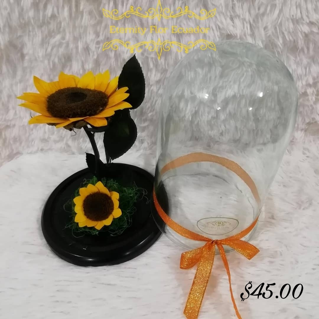 urna de cristal xl con dos hermosos girasoles preservados