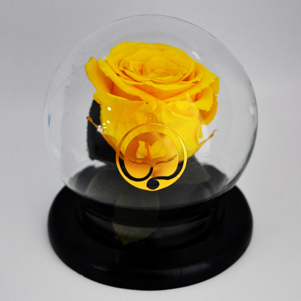 urna de cristal burbuja con una hermosa rosa preservada sun yellow