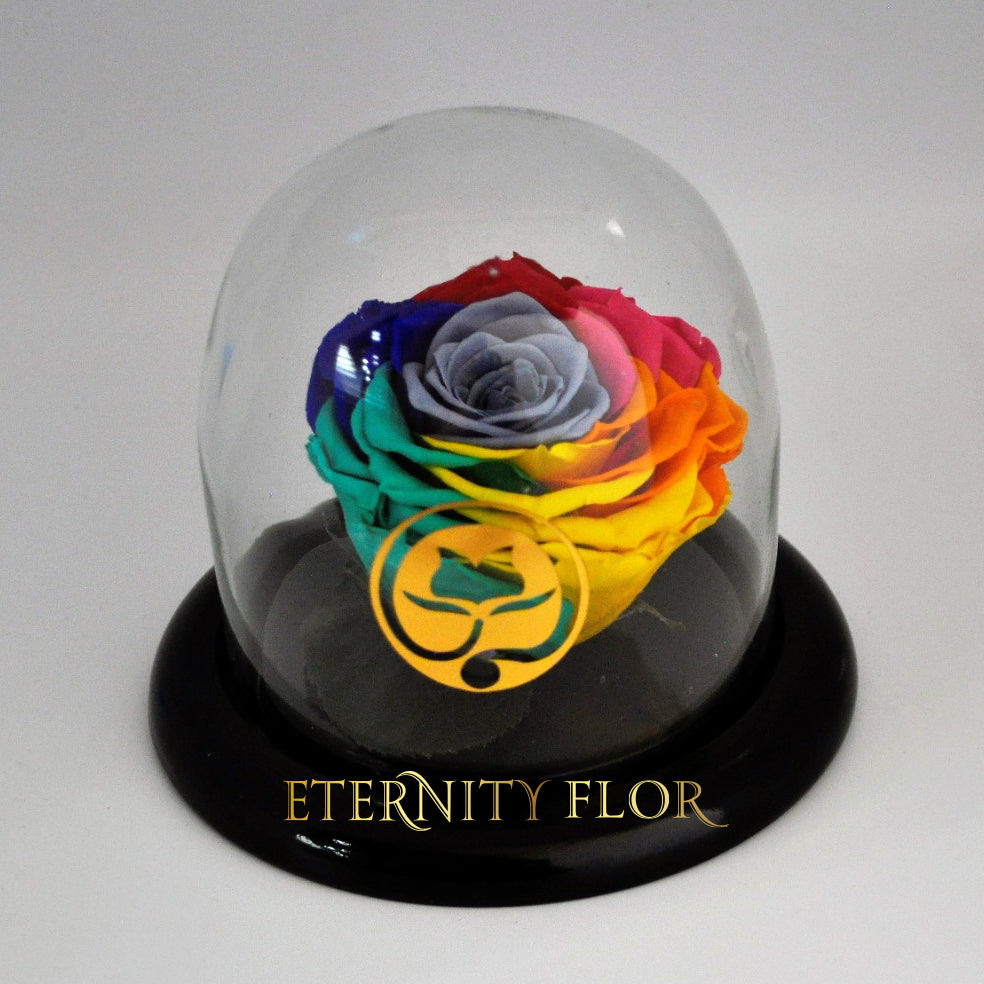 urna de cristal small con una rosa preservada rainbow