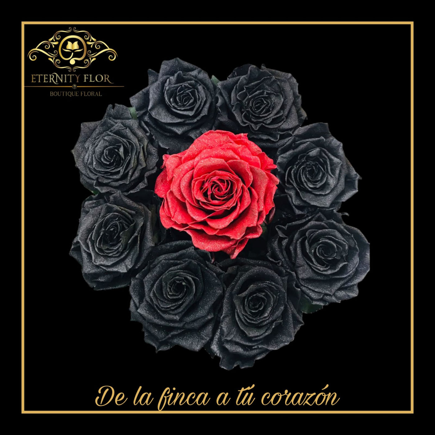 rosas eternas negras y roja