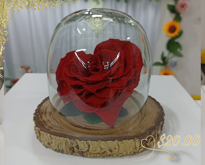 urna de cristal burbuja con una hermosa rosa corazon preservada