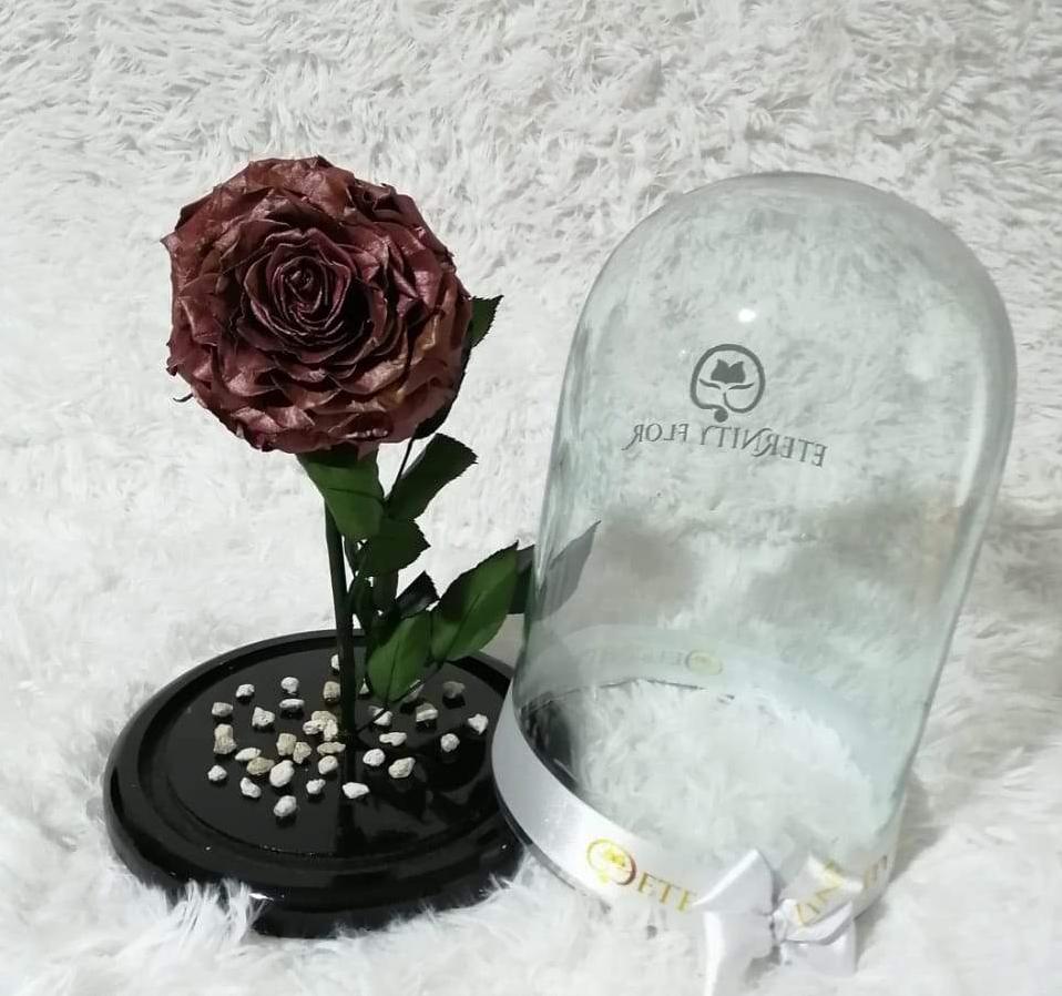 urna de cristal xl con una hermosa rosa preservada cobre jumbo