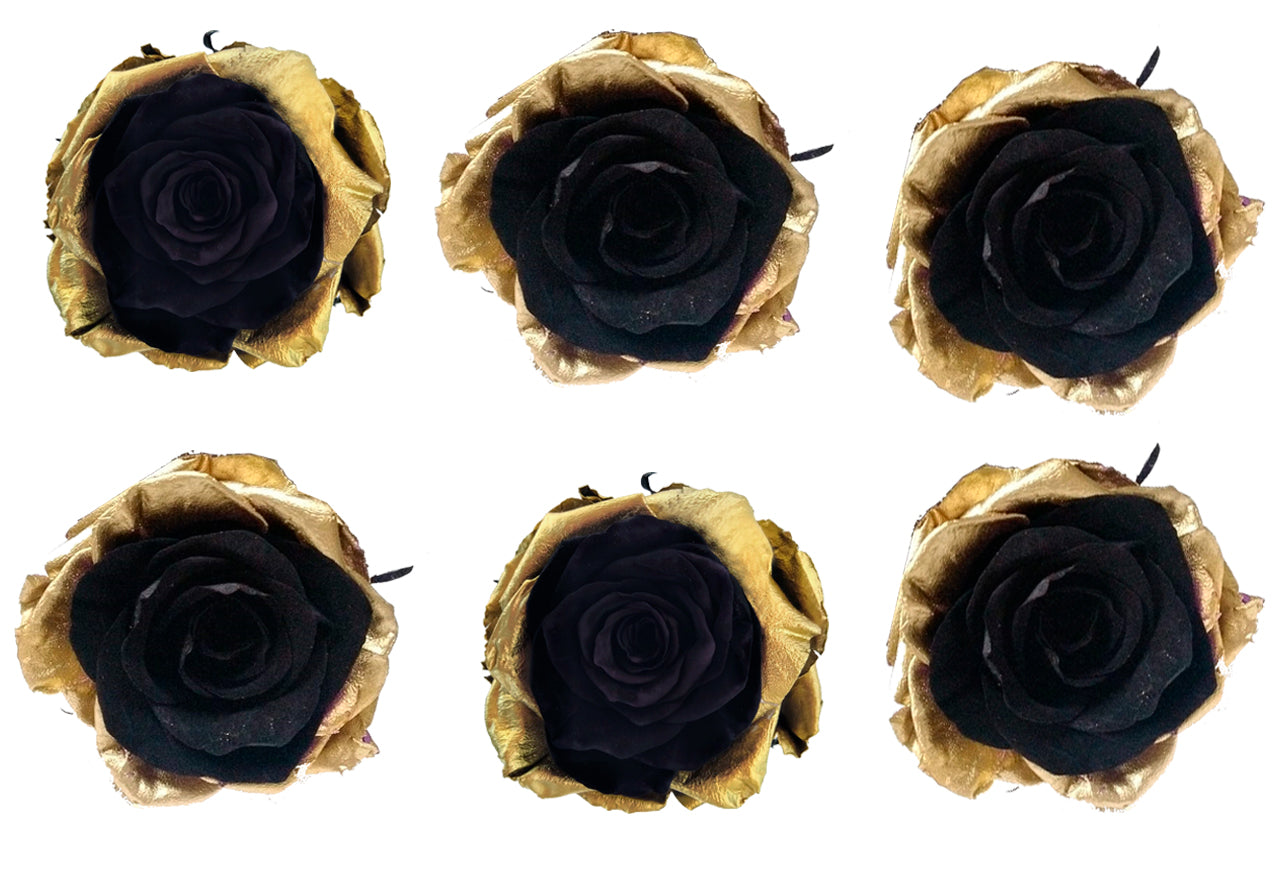 Large: Bicolor Gold and Black Rosas Preservada * 6 cabezas de rosas