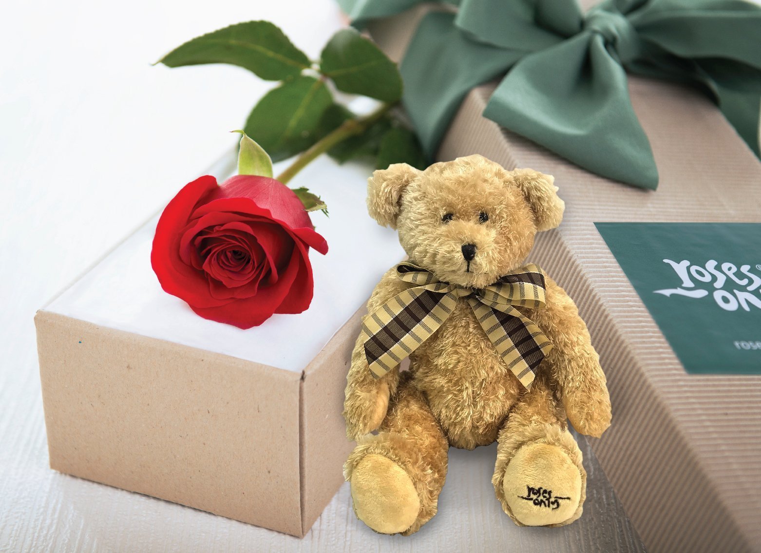 teddy bear red rose