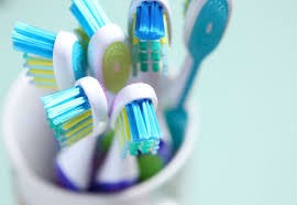 Multiple Toothbrushes in cup on white background