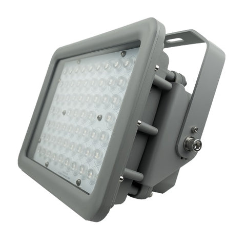 A Series C1D2 LED High Bay Explosion Proof Light
