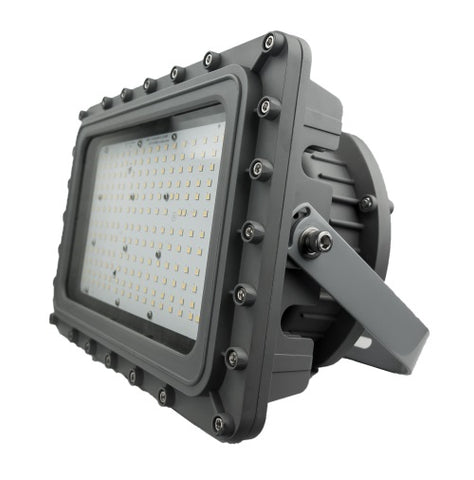 Image: C1D1 LED light fixture designed for hazardous environments, providing safe and reliable illumination in challenging conditions