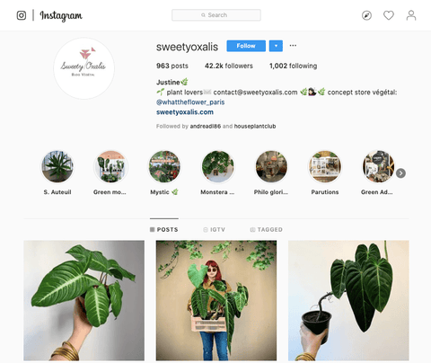20 Must Follow Plant Instagrammers | Green Fresh Florals + Plants