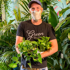Popular San Diego Houseplants + Care Tips Plant Expert at Green Fresh Florals + Plants