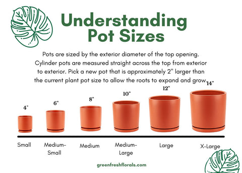 Understanding Pot Sizes Chart and Description from Green Fresh Florals + Plants