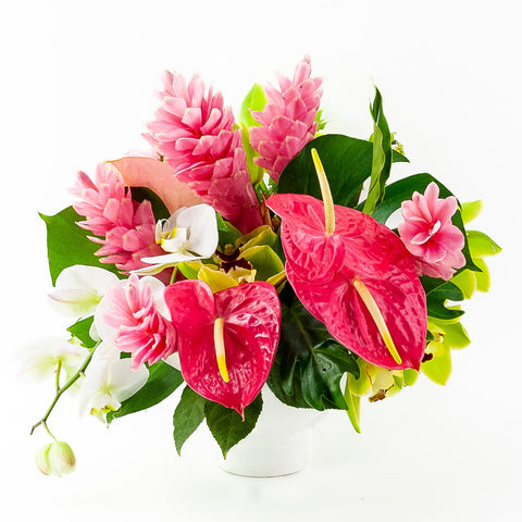 Tropical Escape Designer Floral from Green Fresh Florals + Plants