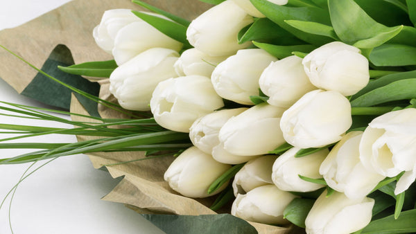 Cut White Tulips from How Florists Keep Flowers Alive Longer from flora | blog Green Fresh Florals + Plants