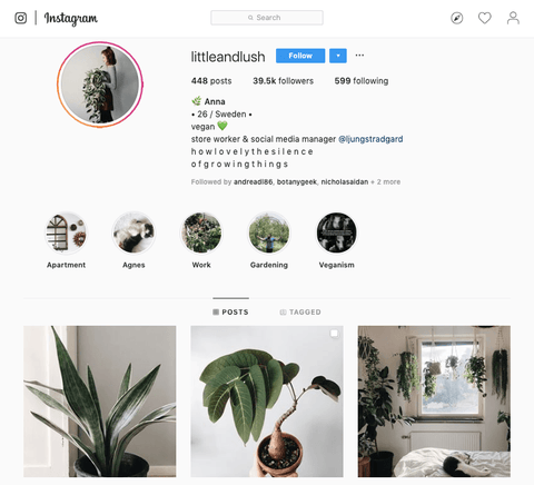 Littleandlush instagram page