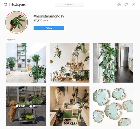 #monsteramonday instagram hashtag account