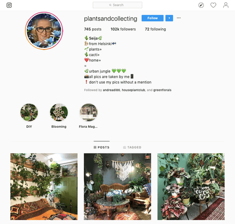 plantsandcollecting instagram page