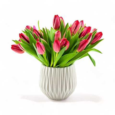 Red Modern Spring Tulips Floral from Green Fresh Florals + Plants