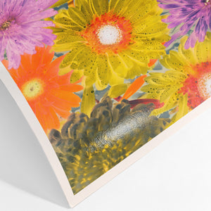 Baryta Gloss Photo Rag Paper
