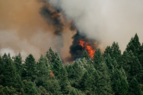 fire wildfires herbal medicine support self-care practices