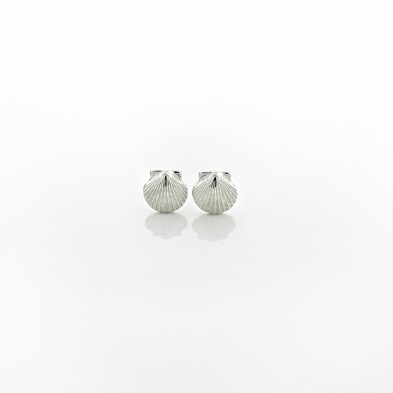 Porcelain White Scallop Shell Stud Earrings with Sterling Silver