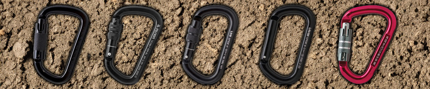 fusion climbs different types of carabiners