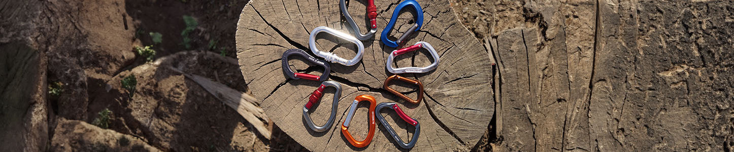 different types of carabiners on a tree stump