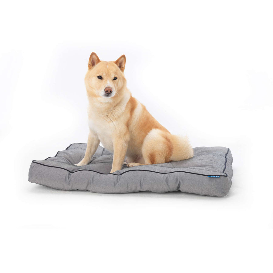 mattress with dog bed