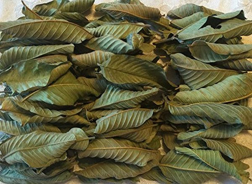 Feuilles de mérinard ou djèka en dioula (Cote d'ivoire), feuilles