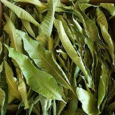 Dried Djeka Leaves- Feuille de Djeka – TinaKKollection