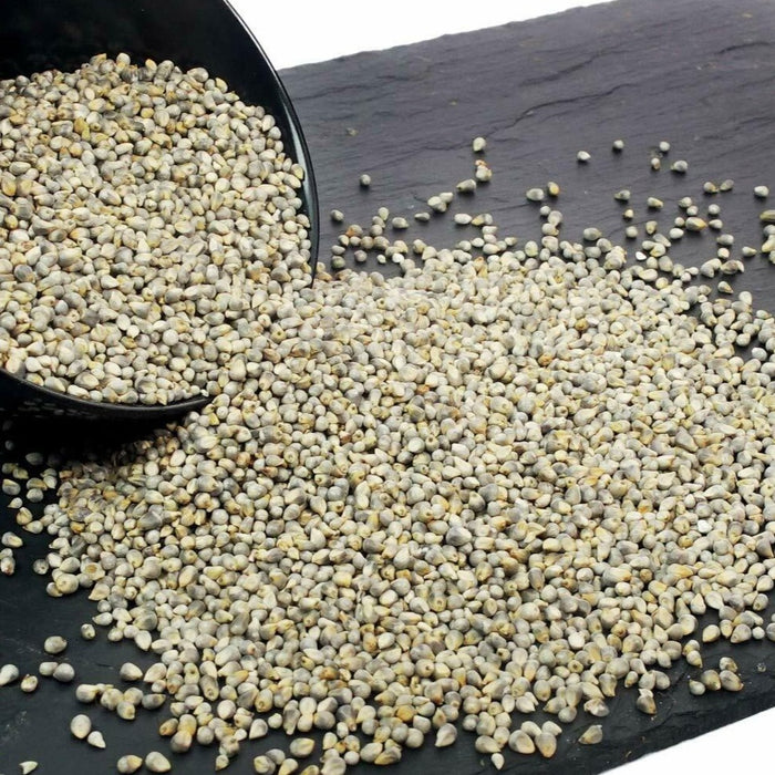 millet seeds