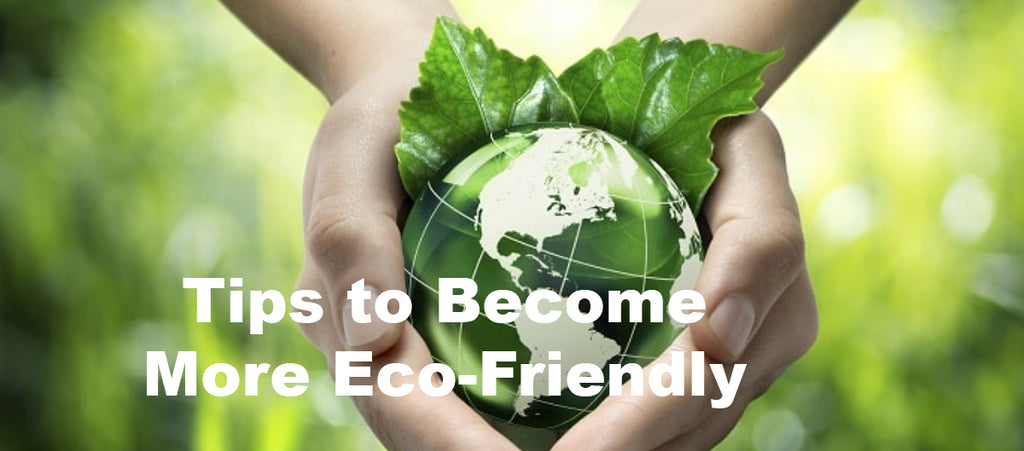 Tips to Become More Eco-Friendly