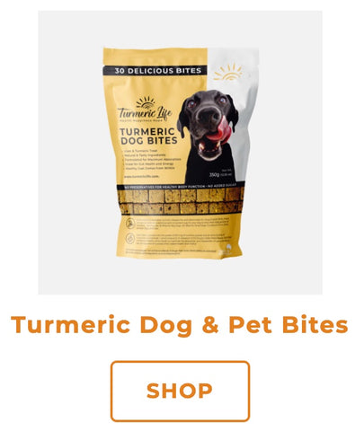 Turmeric Dog and Pet Bites for health and longevity - turmeric dog treats - natural superfoods for ageing dogs and dogs with mobility issues