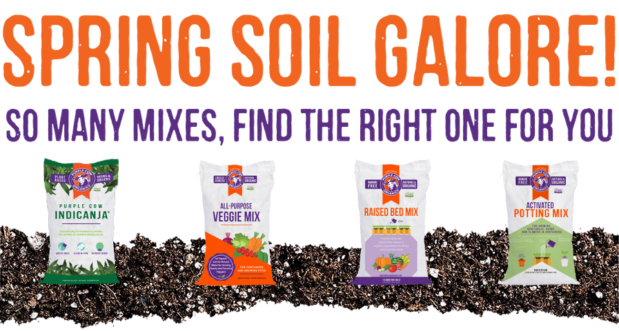 Spring Soil Galore: So Many Mixes, Find the right one for you