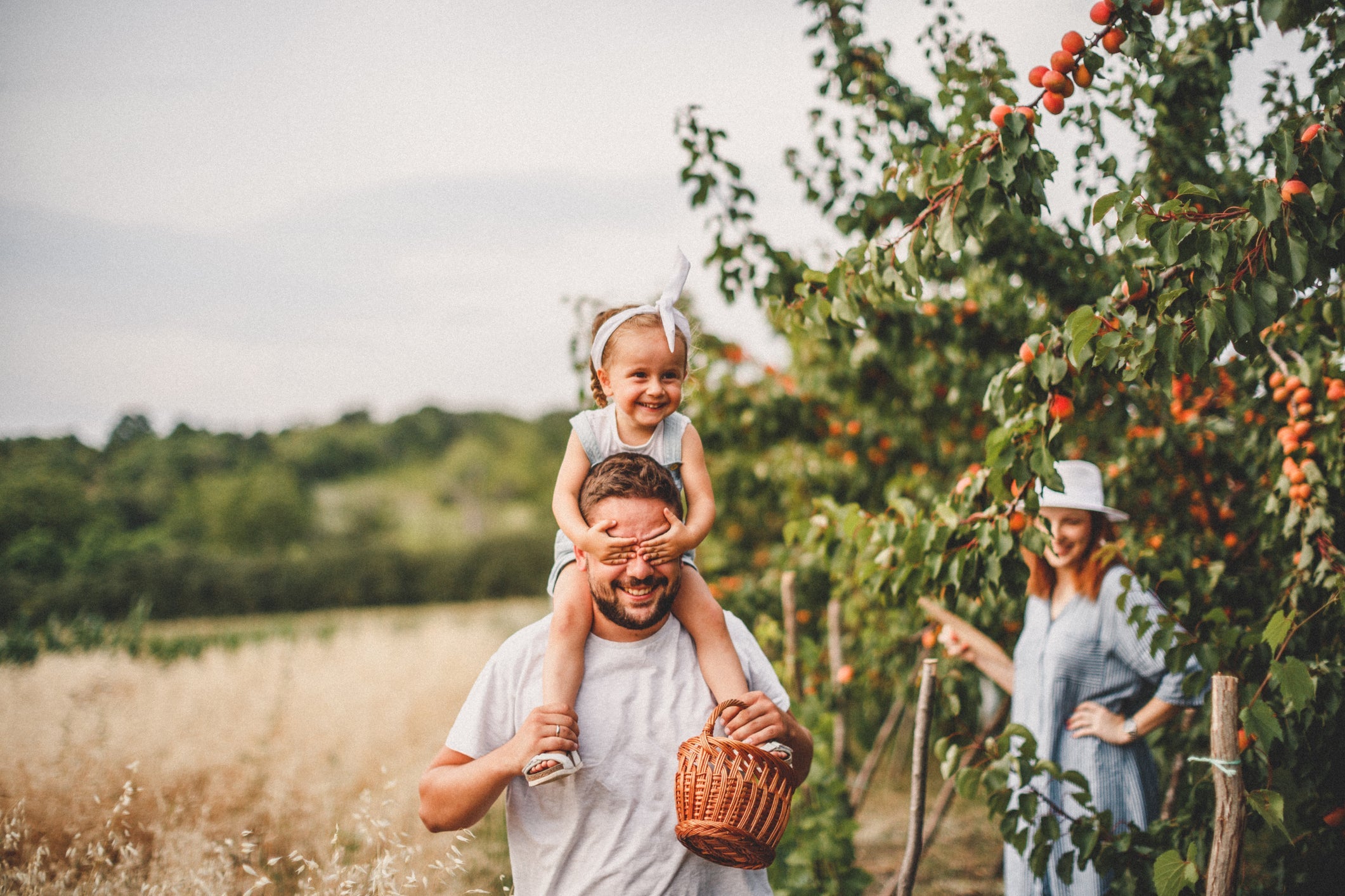 What to Expect From Your Fruit Tree in June