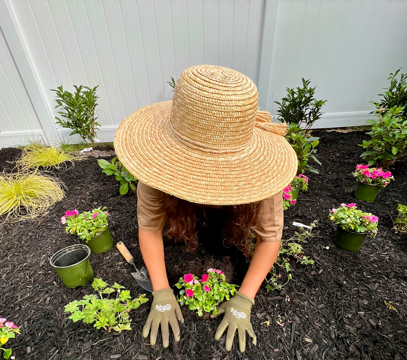 Mini Makeover: Liana's Hard-to-Plant, Shaded Space