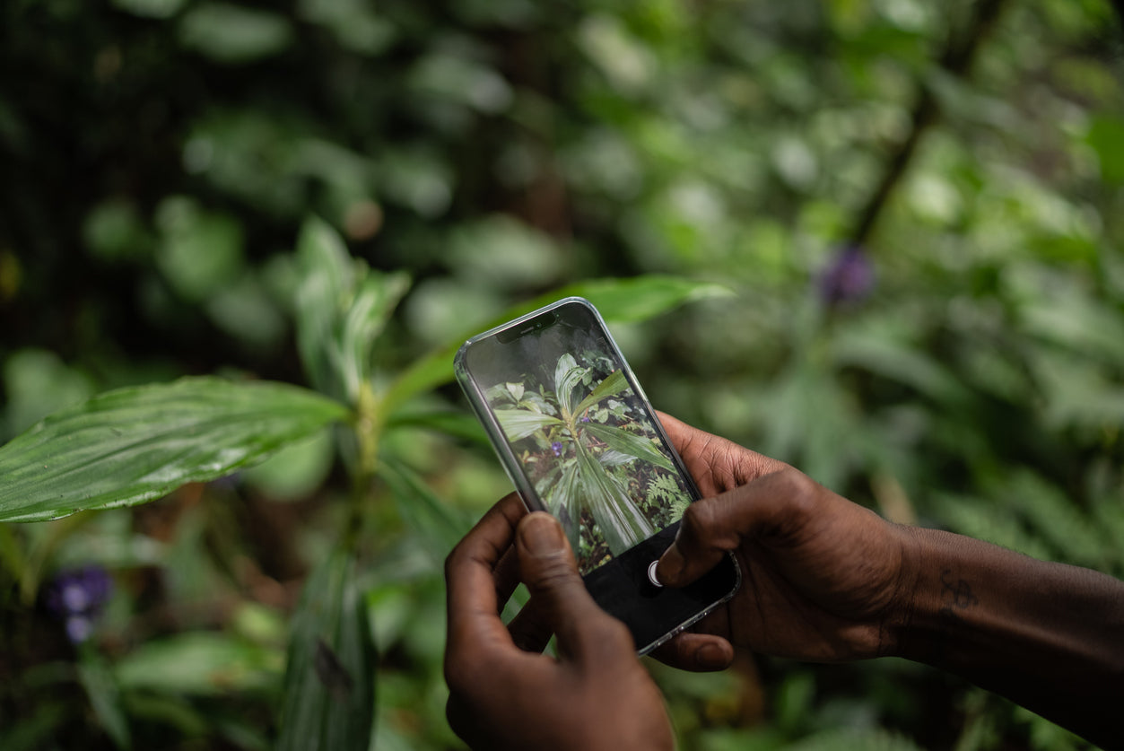 Top Tips for Photographing Plants