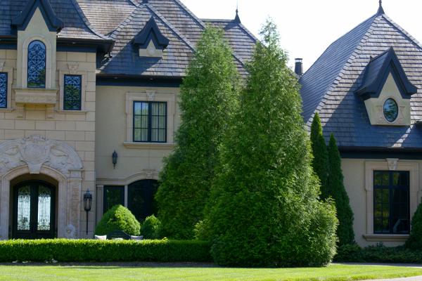 Arborvitae trees enhancing the beauty of a luxurious house garden