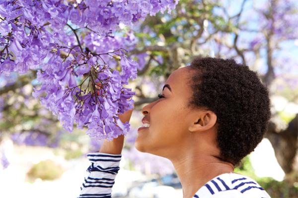 Fragrant Blooming Plants