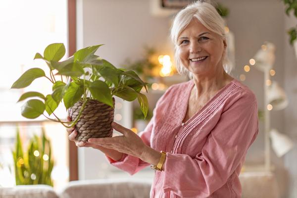 Carefree House Plants