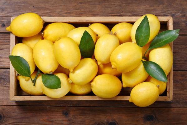 Lemon trees