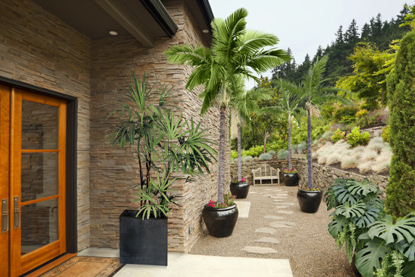 Patio - Tropical with serene garden and palm trees by stone wall entrance