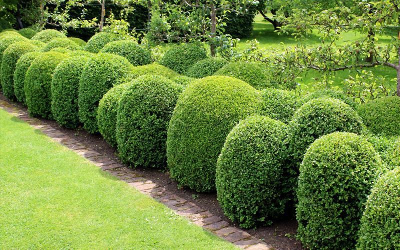 Evergreens for Hedging