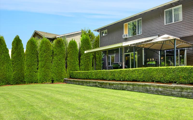 Evergreen Trees for Privacy