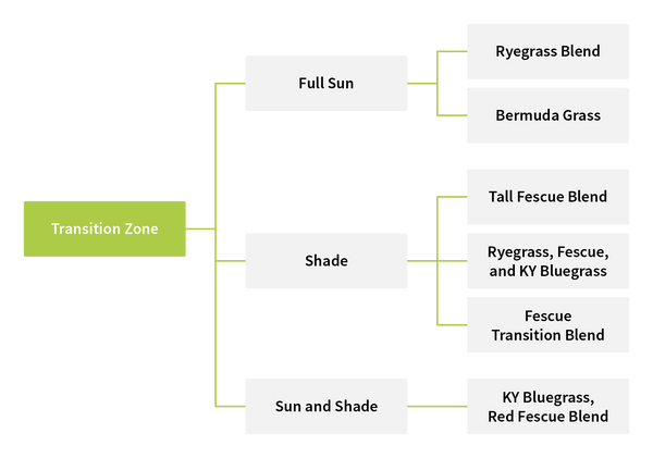 transition zone map