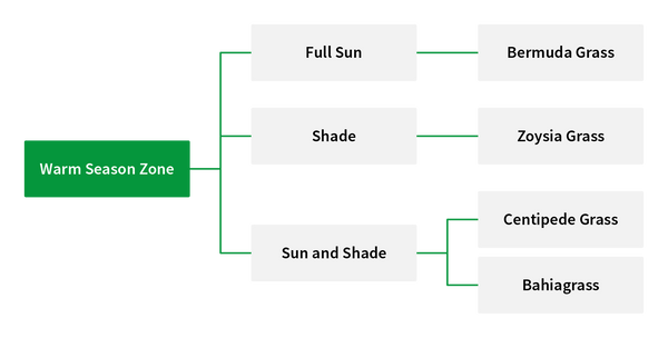 warm season zone