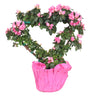 Heart-Shaped Azalea